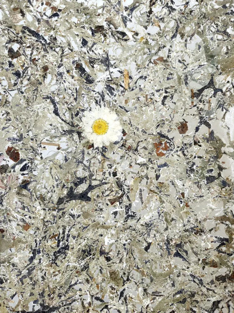 bamboart_margeritta_medium_bmbmar0055skt_sample_210x295mm_real_size_organoid_natural_surfaces